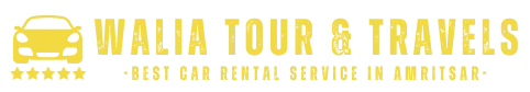 walia tour and travels logo